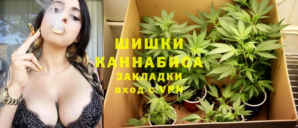 гашик Алзамай