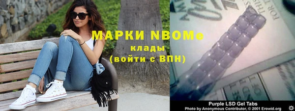 гашик Алзамай