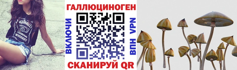 Галлюциногенные грибы ЛСД  цены наркотик  Уссурийск 